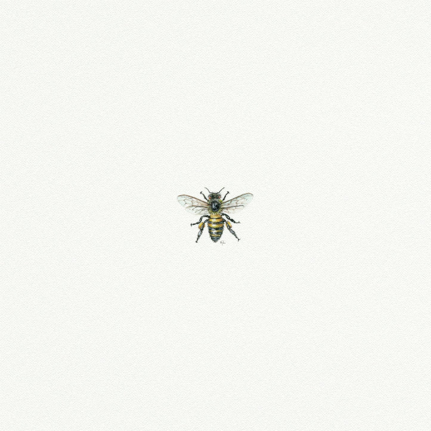 Bee Miniature Watercolor Painting - Art Print