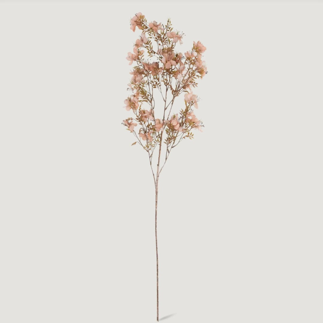 Artificial Prunus Blossom - Abigail Ahern