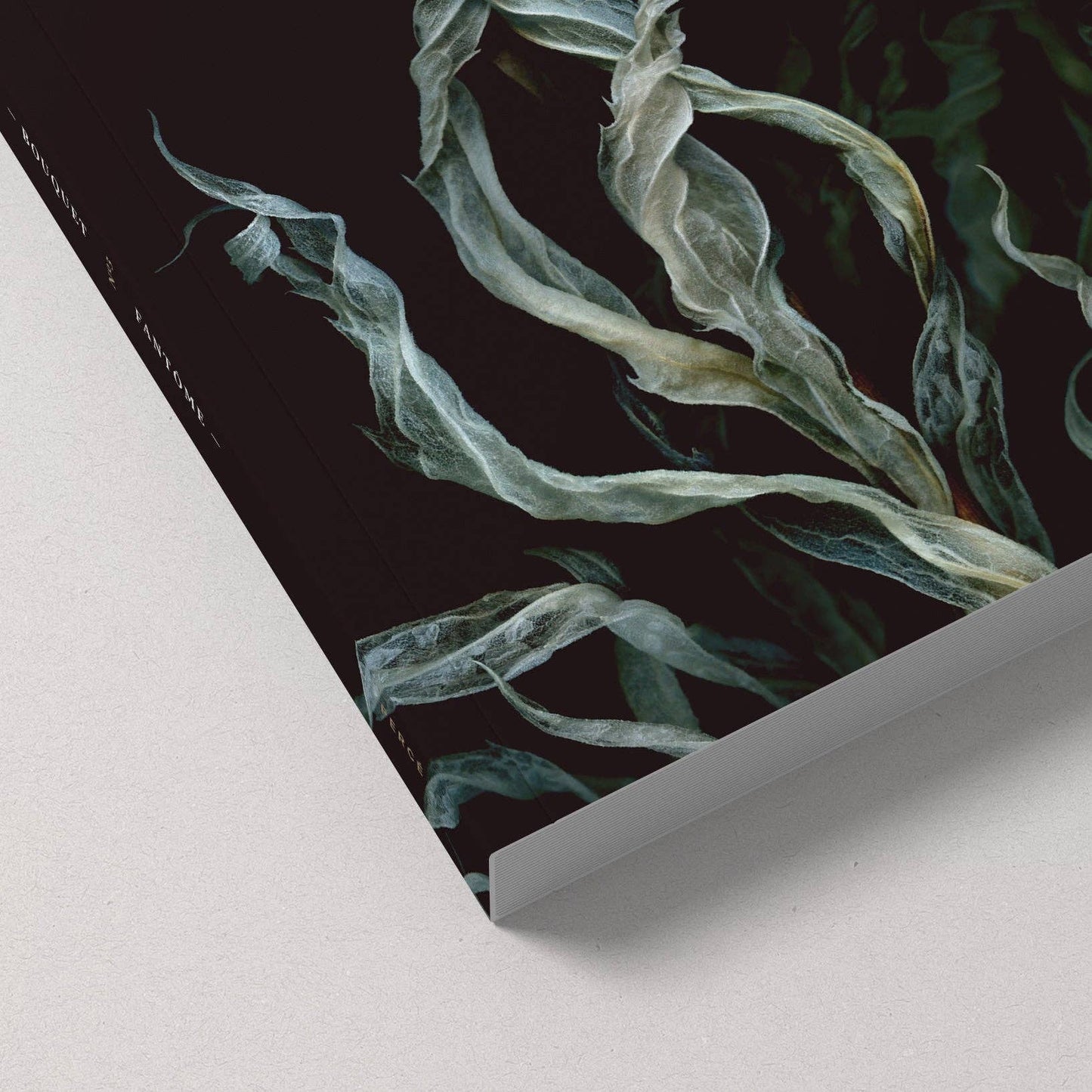 Notebook / Fantôme
