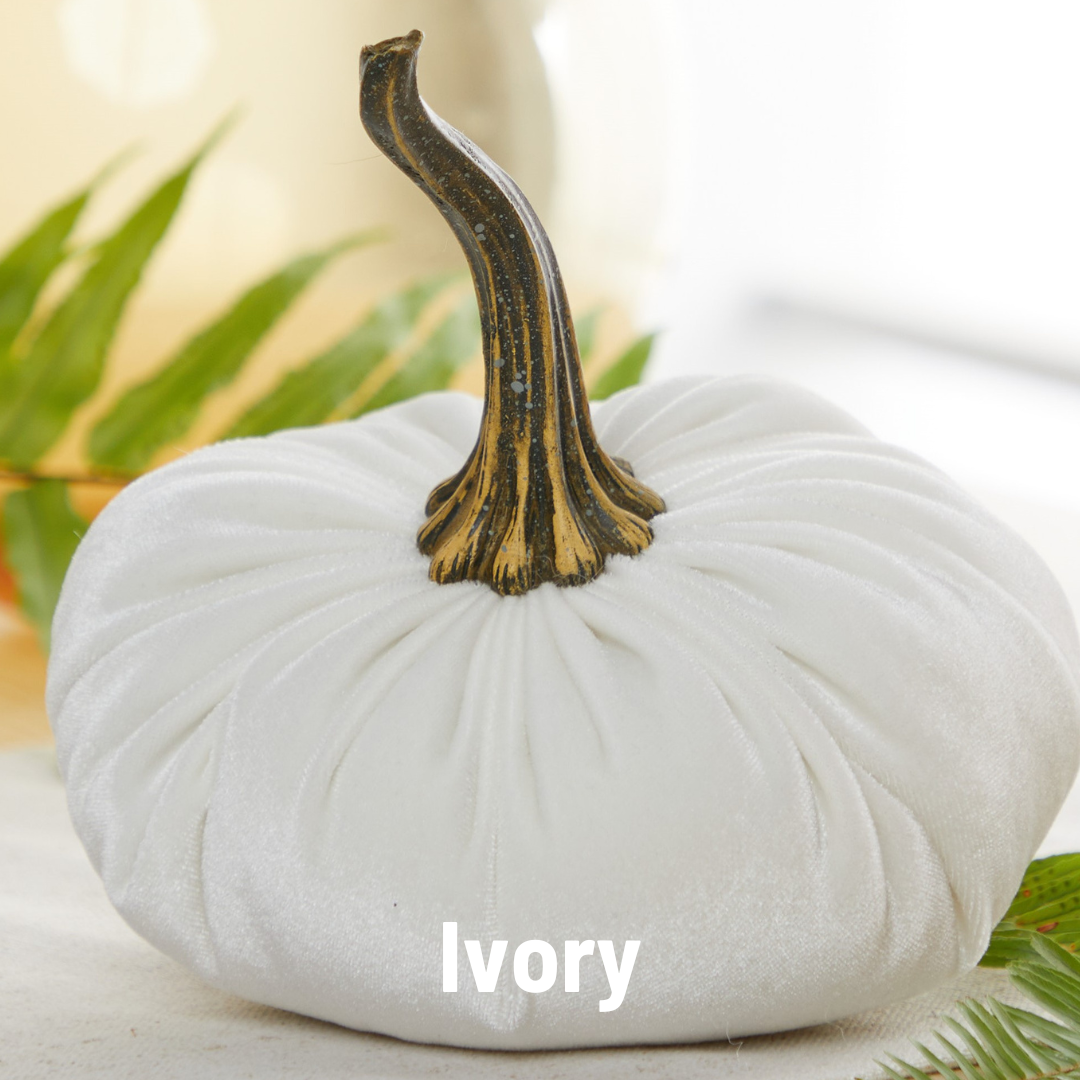 Large Velvet Pumpkins