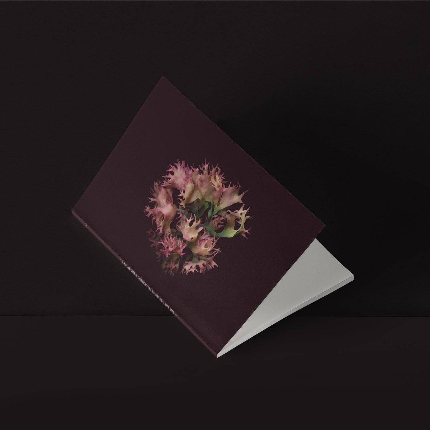 Mini-Notebook / Irish Moss โ La Rose