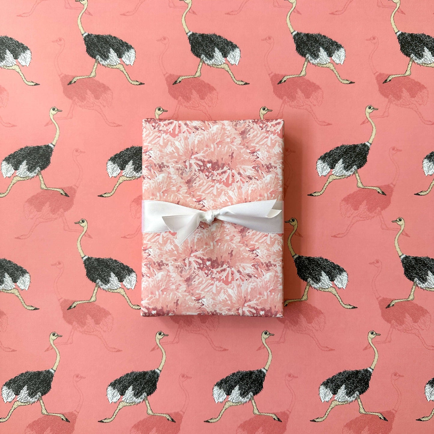 Ostrich Reverie - Wrapping Paper: Single Sheets