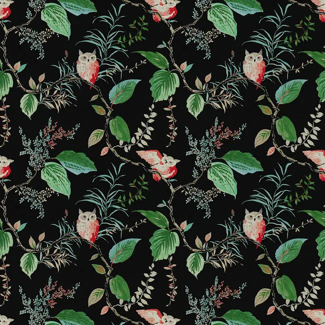 Owlish - Wallpaper - Kravet