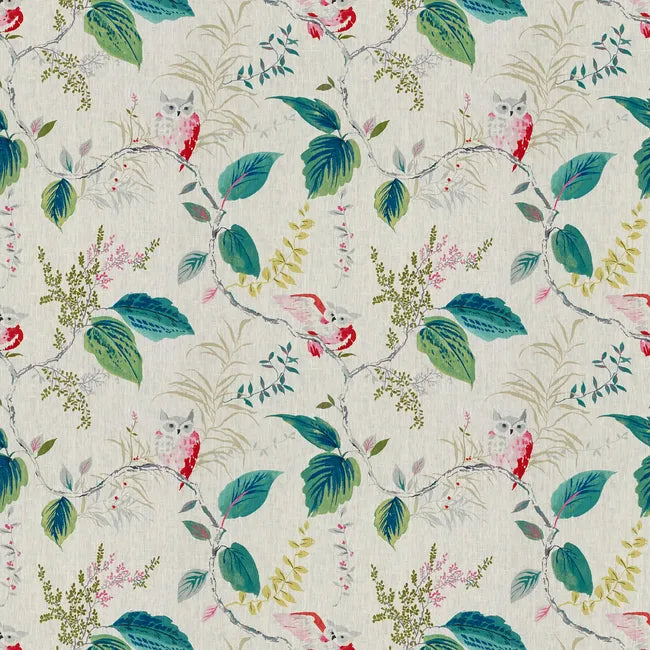 Owlish - Wallpaper - Kravet