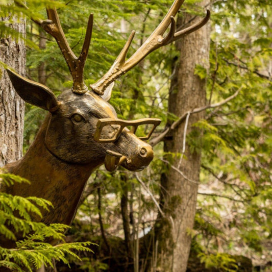 Frankie - Eric and Eloise collection