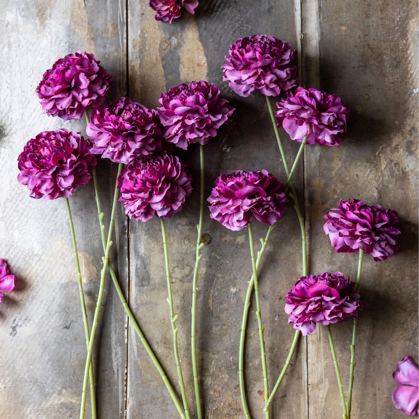 Artificial Carnation Purple - Abigail Ahern