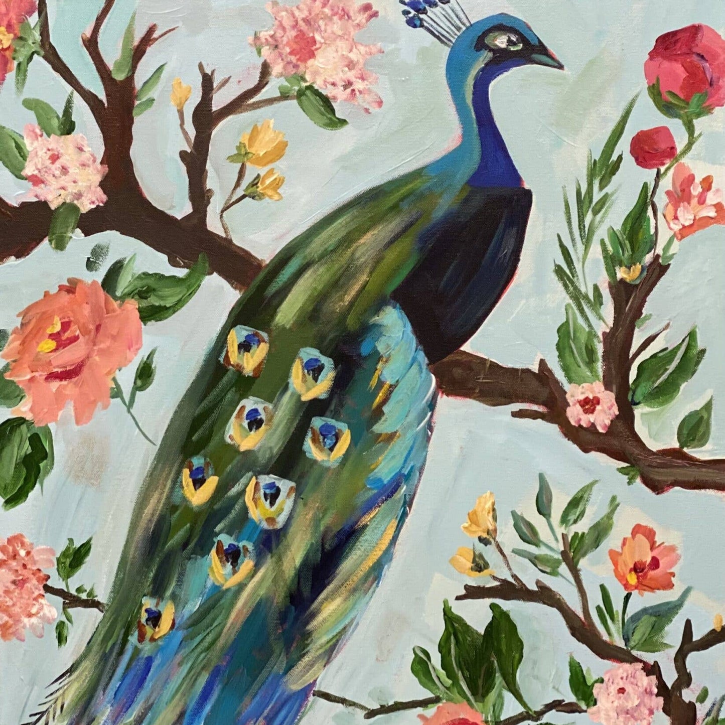 Peacock Postcard