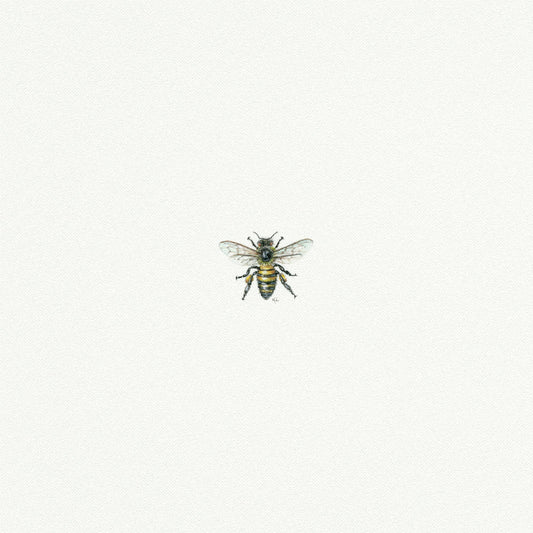 Bee Miniature Watercolor Painting - Art Print