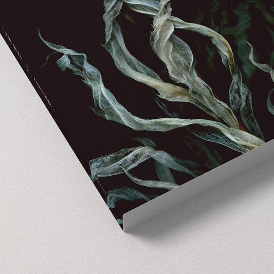 Fantôme - Notebook