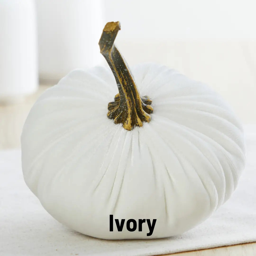 Large Ivory Velvet Pumpkin
