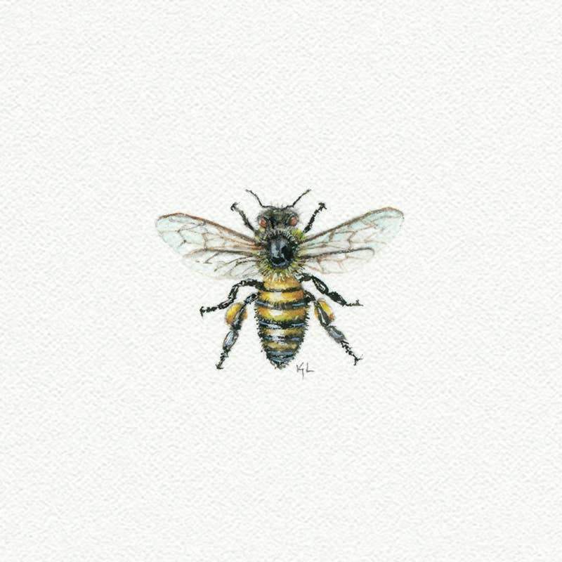 Bee Miniature Watercolor Painting - Art Print