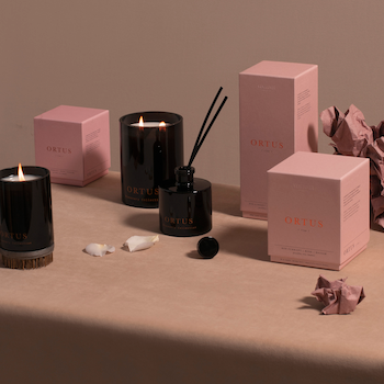 Ortus [Rise] Single Wick Candle
