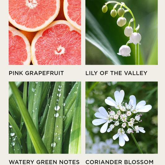 Nest -  Grapefruit Liquid Hand Soap