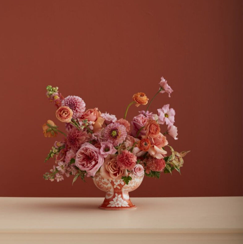 Coral Elodie Compote