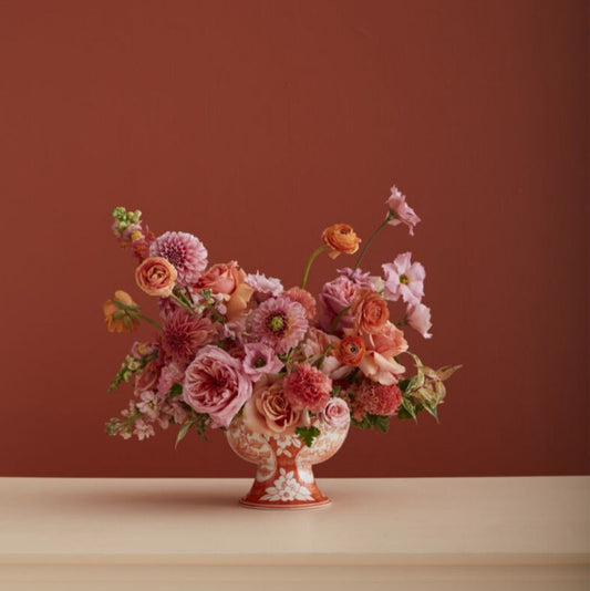 Coral Elodie Compote