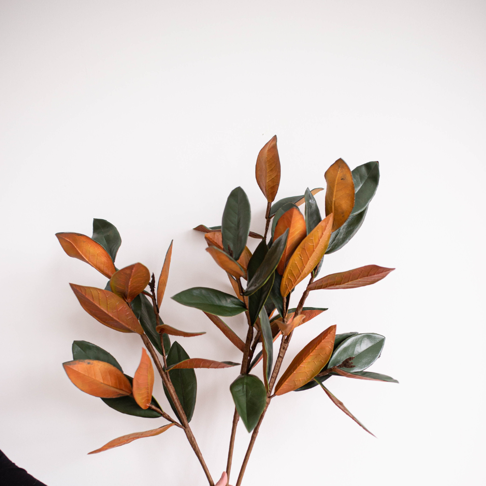 Magnolia Faux Leaves