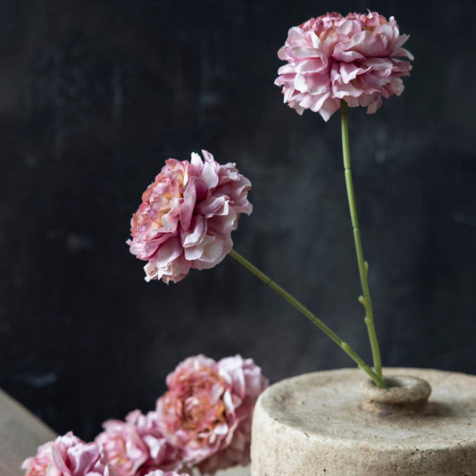 Artificial Carnation Blush - Abigail Ahern