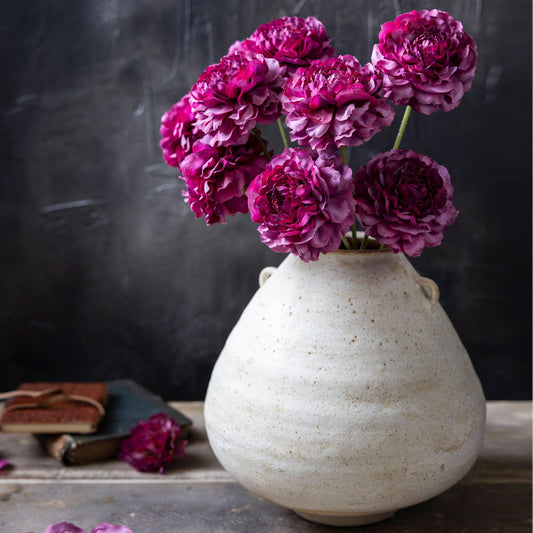 Artificial Carnation Purple - Abigail Ahern