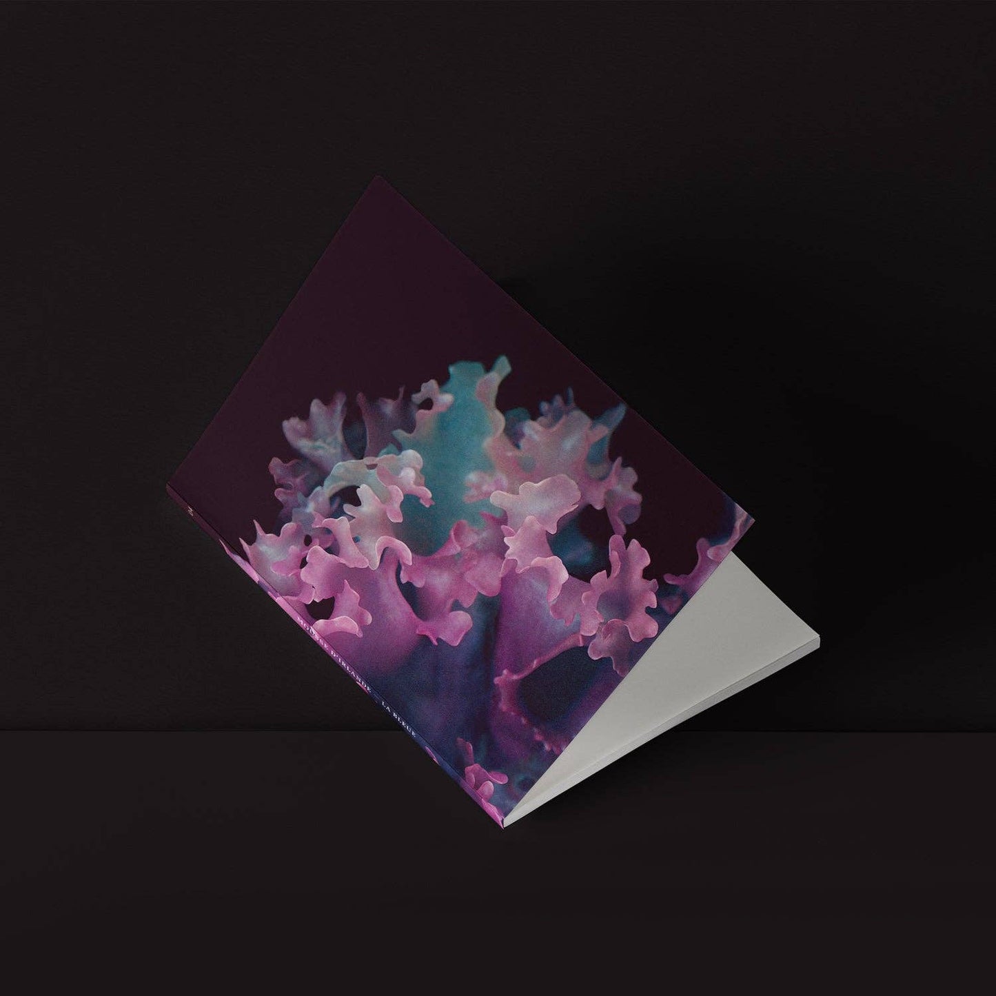 Mini-Notebook / Irish Moss Serie No.4 — La Bleue