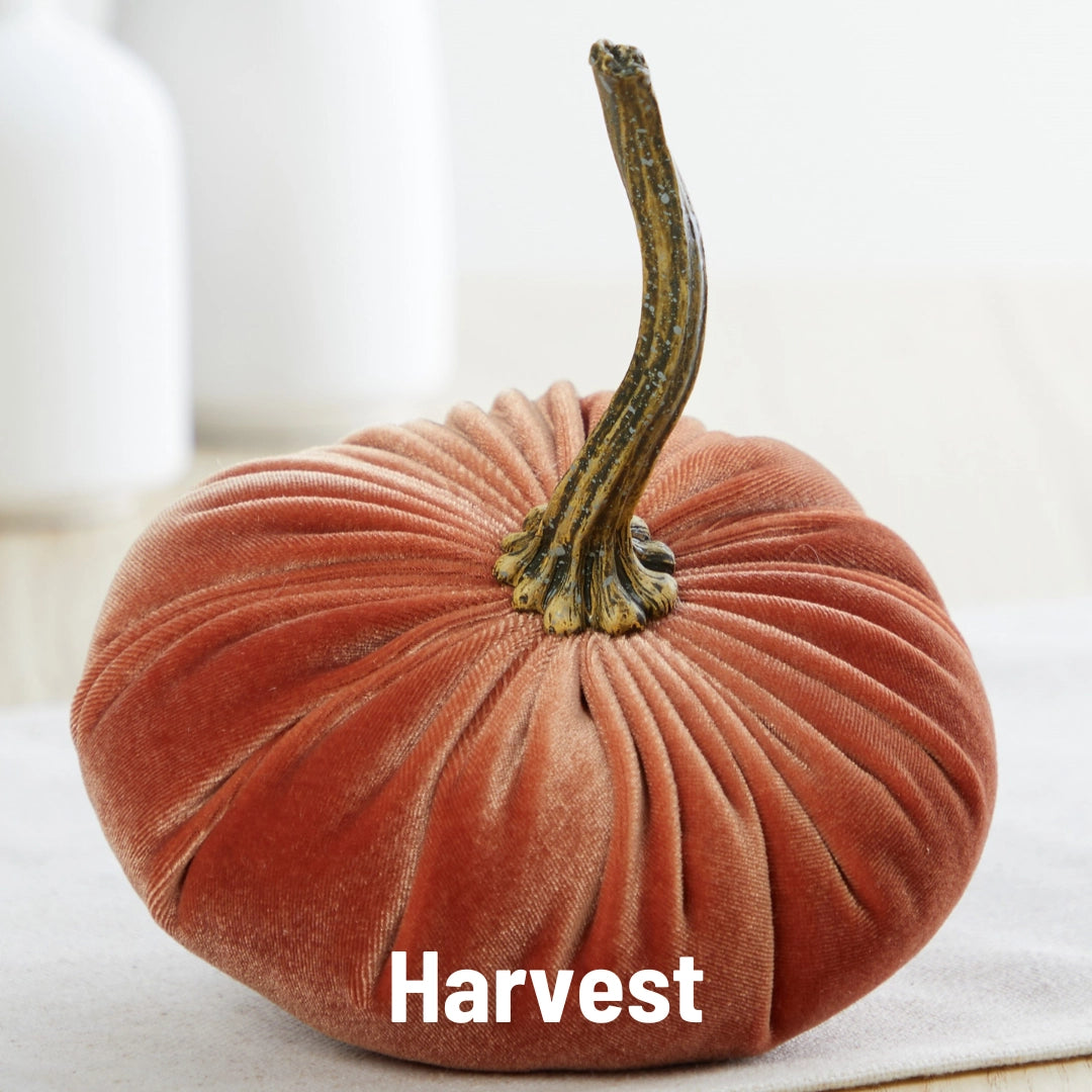 Large Harvest Velvet Pumpkin